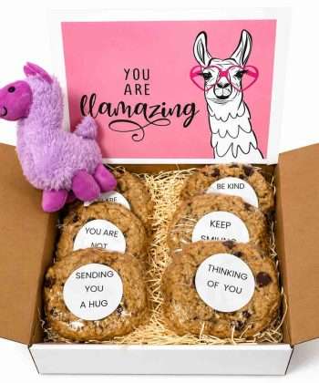 Llama cookie gift box with gourmet cookies with inspirational sayings and plush llama