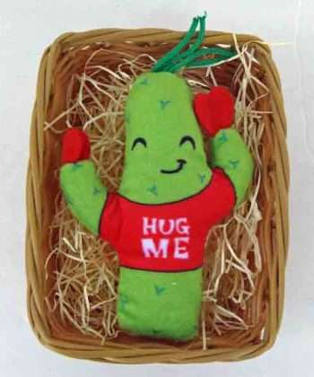 Wicker basket with plush cactus that says Huge Me