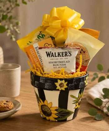 Small sunflower gift pot filled with gourmet cookies and sweet treats in a reusable hand-painted ceramic sunflower planter with yellow ribbon.