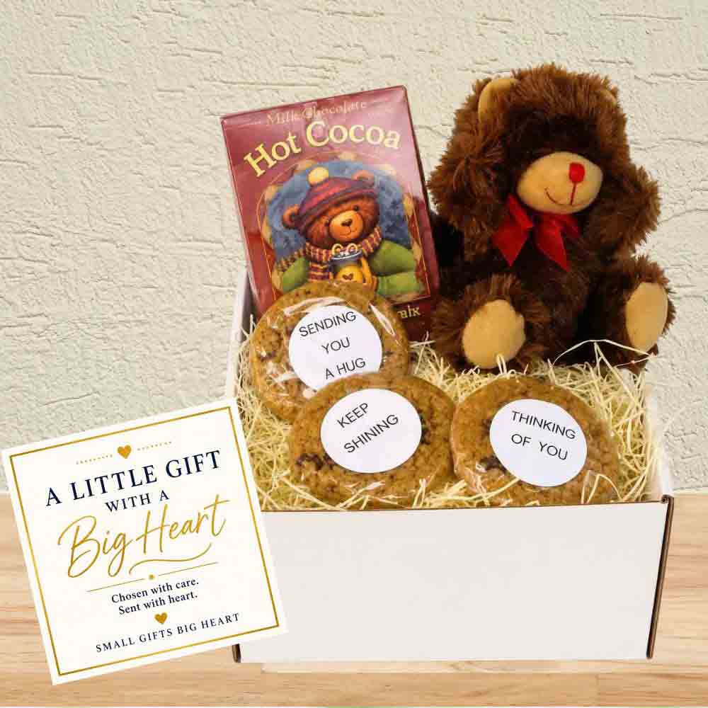 Get Well Gift Box with Teddy Bear, Cookies & Hot Cocoa 1 Teddy bear gift with cocoa and cookies with inspirational messages and A Little Gift --Big Heart gift card