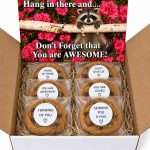 Encouragement Gift Box with Message Cookies – “Hang in There” Thinking of You Care Package 2 hang in there and don't forget you are awesome gift box with message cookies
