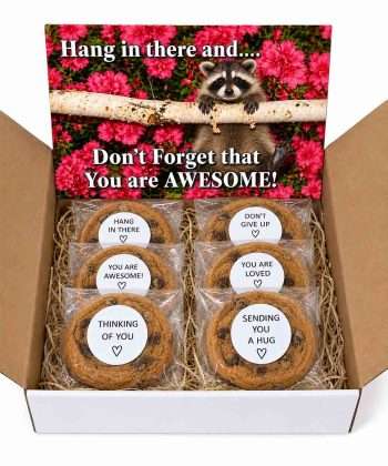 hang in there and don't forget you are awesome gift box with message cookies