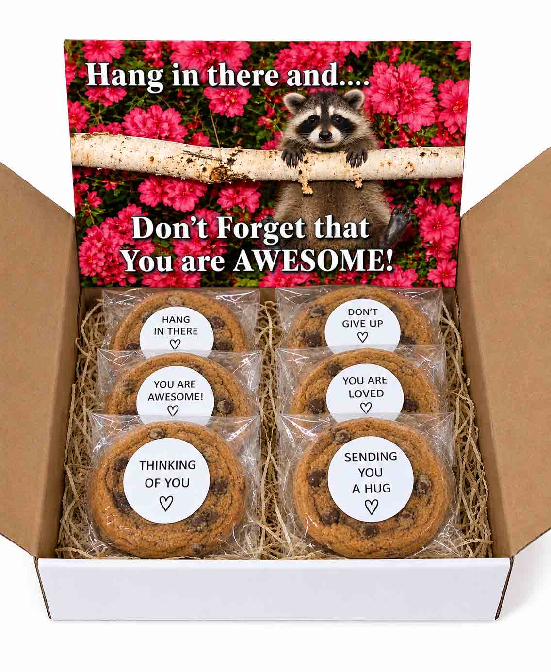 Encouragement Gift Box with Message Cookies – “Hang in There” Thinking of You Care Package 1 hang in there and don't forget you are awesome gift box with message cookies