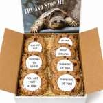 Try and Stop Me Encouragement Cookie Gift Box 4 Cookie gift box with cookies with inspirational message and large gift card that says Try and Stop Me