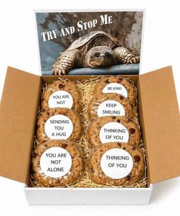 Cookie gift box with cookies with inspirational message and large gift card that says Try and Stop Me