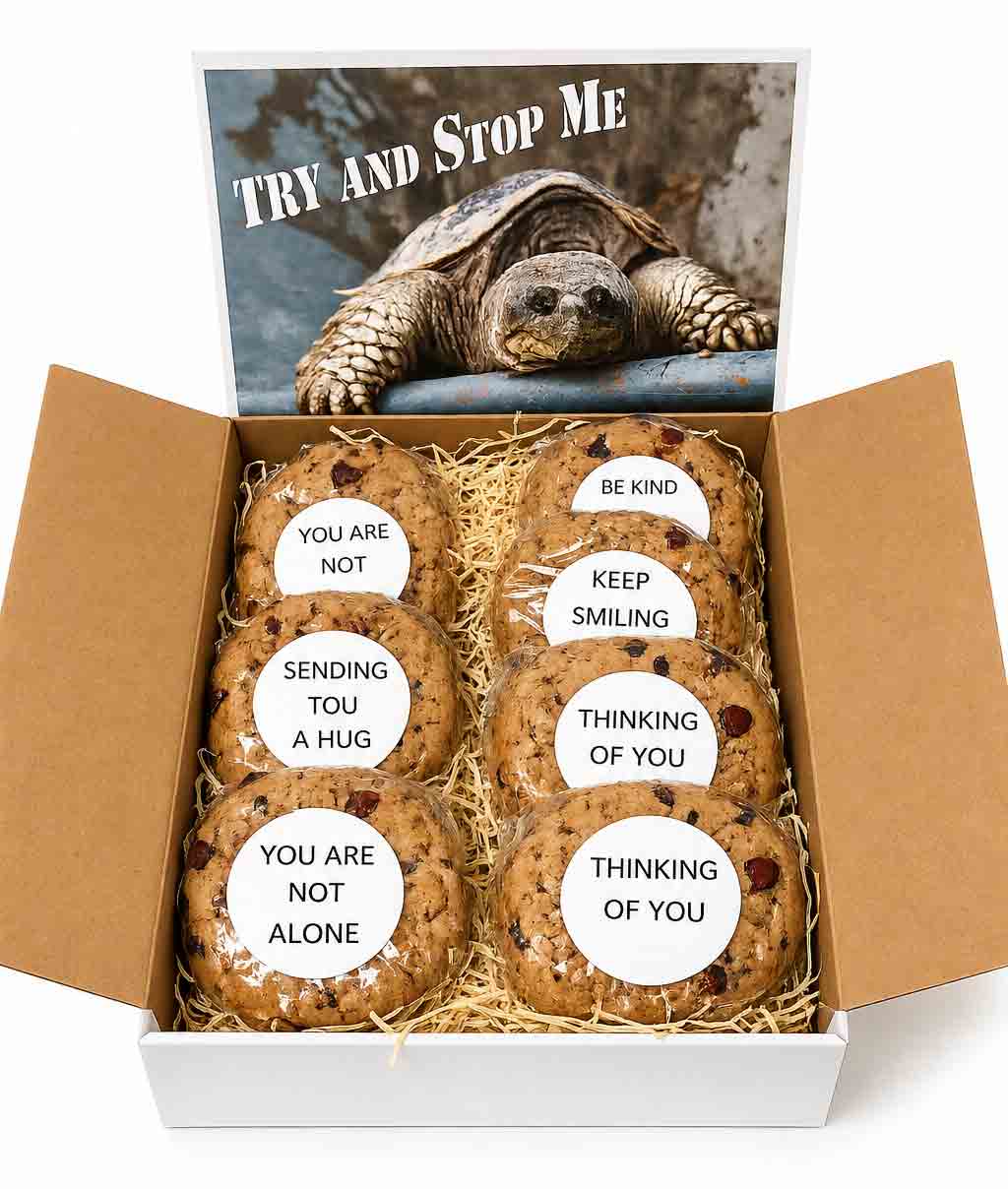 Try and Stop Me Encouragement Cookie Gift Box 1 Cookie gift box with cookies with inspirational message and large gift card that says Try and Stop Me